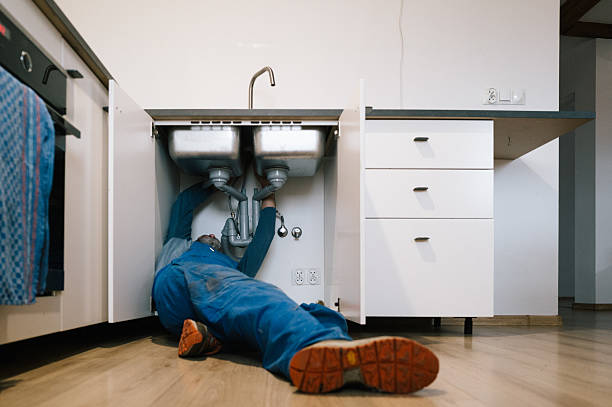 Professional Emergency Plumber technician working in Grand Ledge, MI